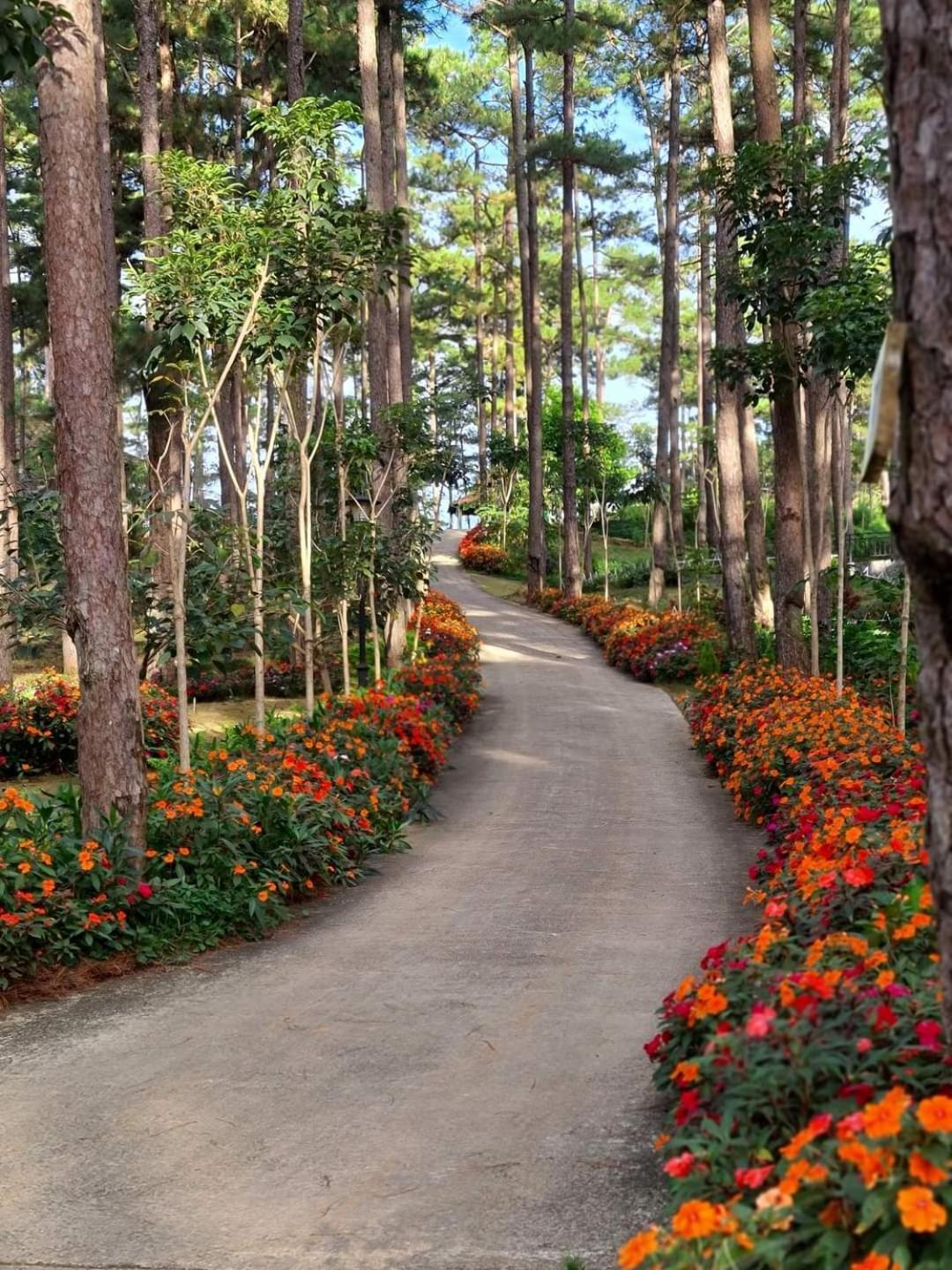 Aparthotel Dahlia Dalat Exterior foto
