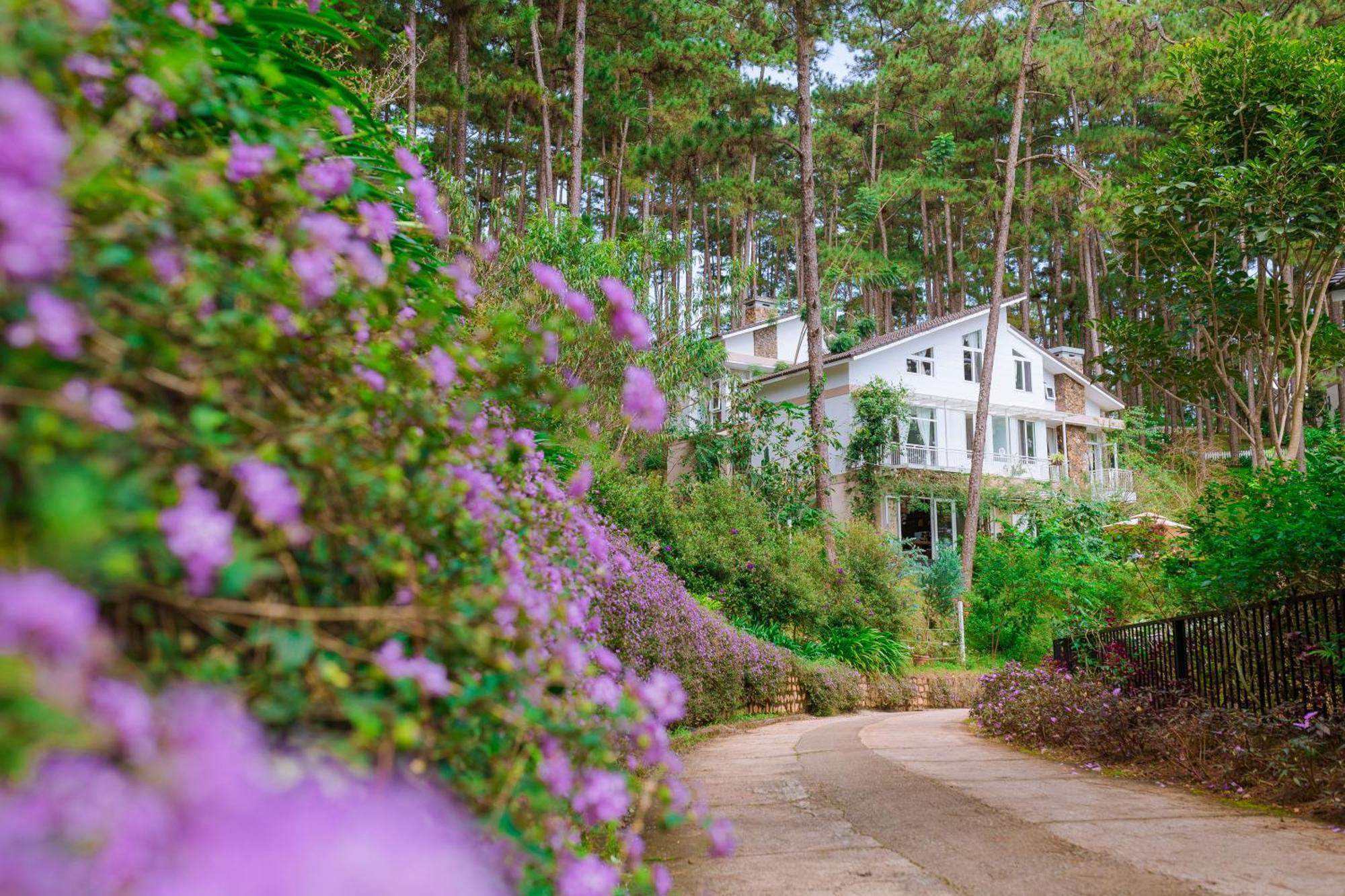 Aparthotel Dahlia Dalat Exterior foto